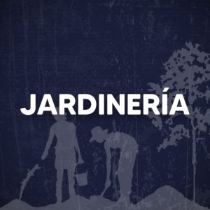 LENTES SEGURIDAD TRANSPARENTES CUADRADO SP100