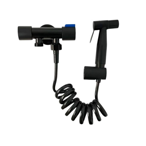 CABEZA DUCHA DOBLE PUSH BIDET SATINADO RASO 50117902